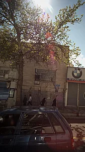 دکتر گلنار احسان