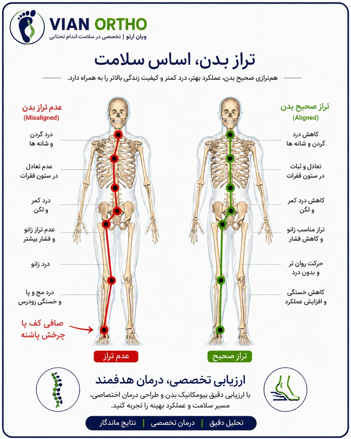 مرکزاسکن پا ویان ارتو - تصویر 7