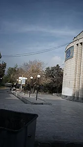 کلیه و مجاری ادراری