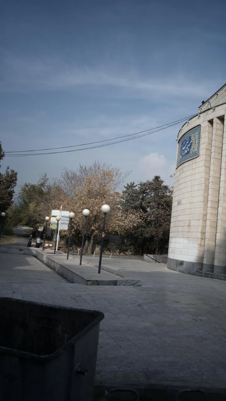 کلیه و مجاری ادراری