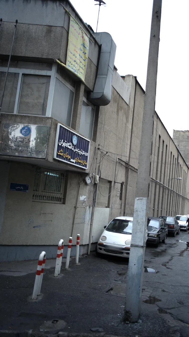 اداره کل تربیت بدنی دانشگاه تهران - تصویر 3