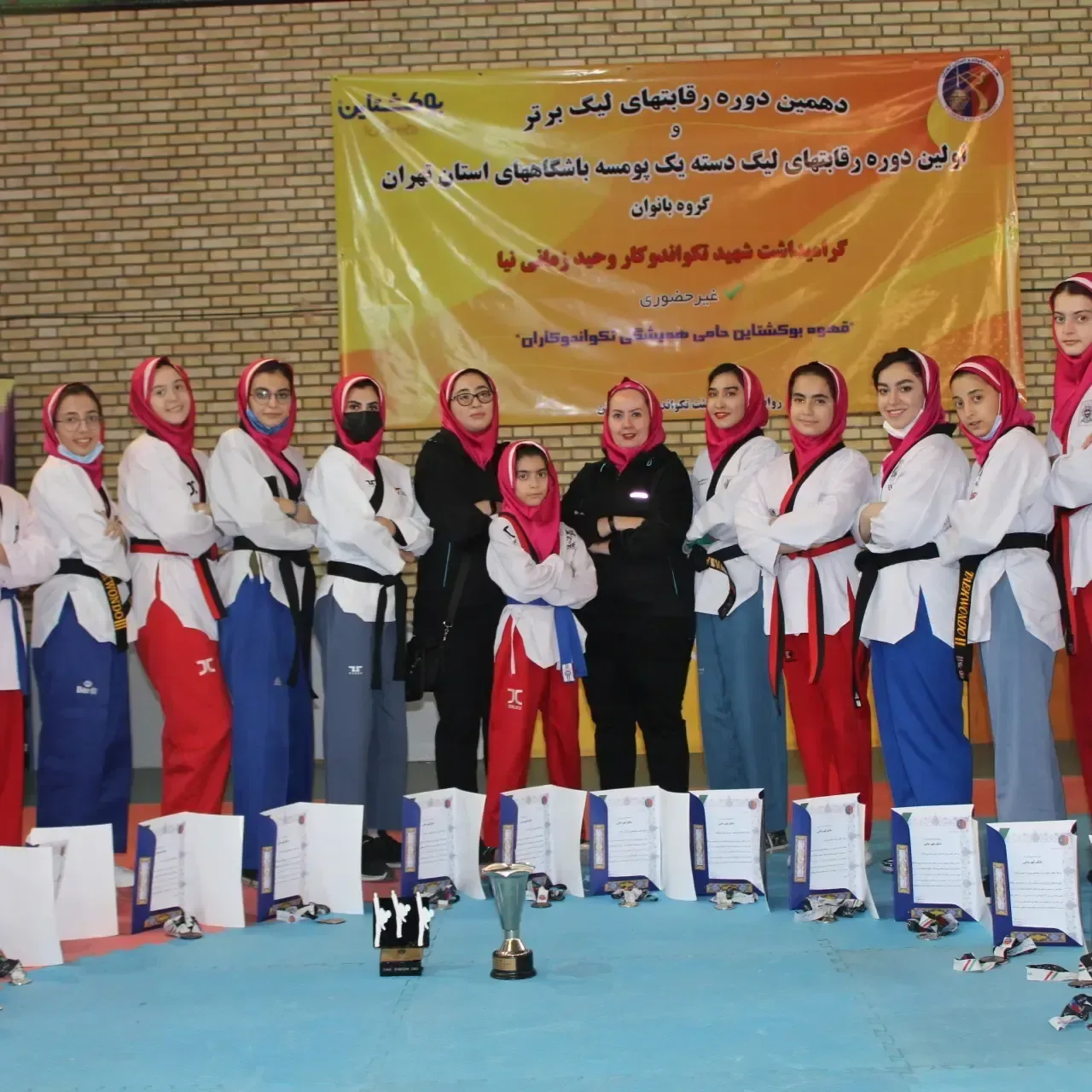 آموزش تکواندو (استادرضائی)