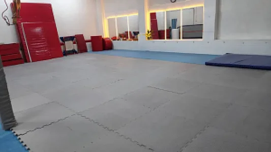 خانه ژیمناستیک،مرکزبازیهای هدفمندپیروزان