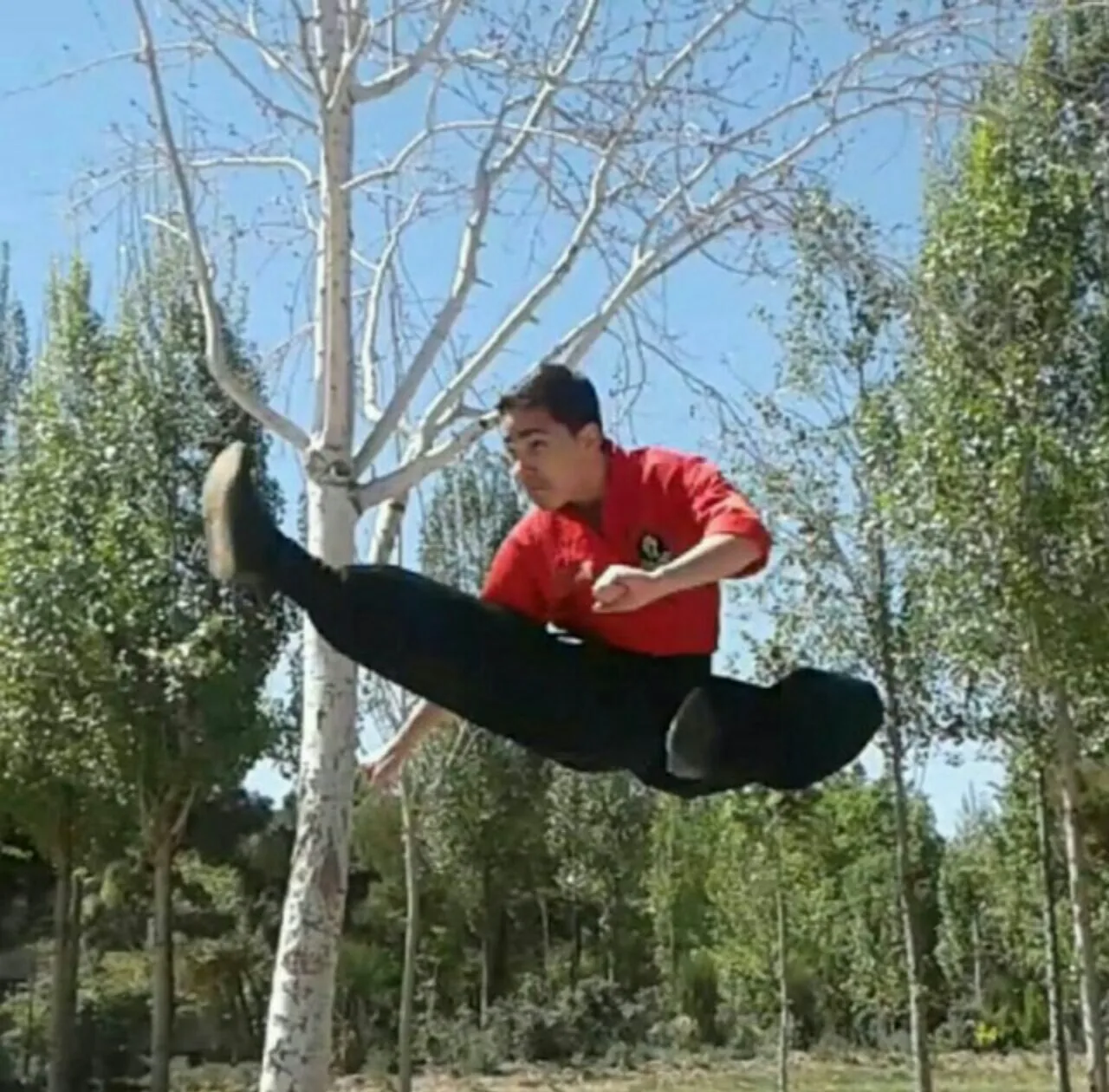 کیک بوکسینگ پیروزی استاد مهدی شیری جیان