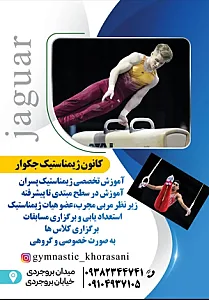 ژیمناستیک جگوار
