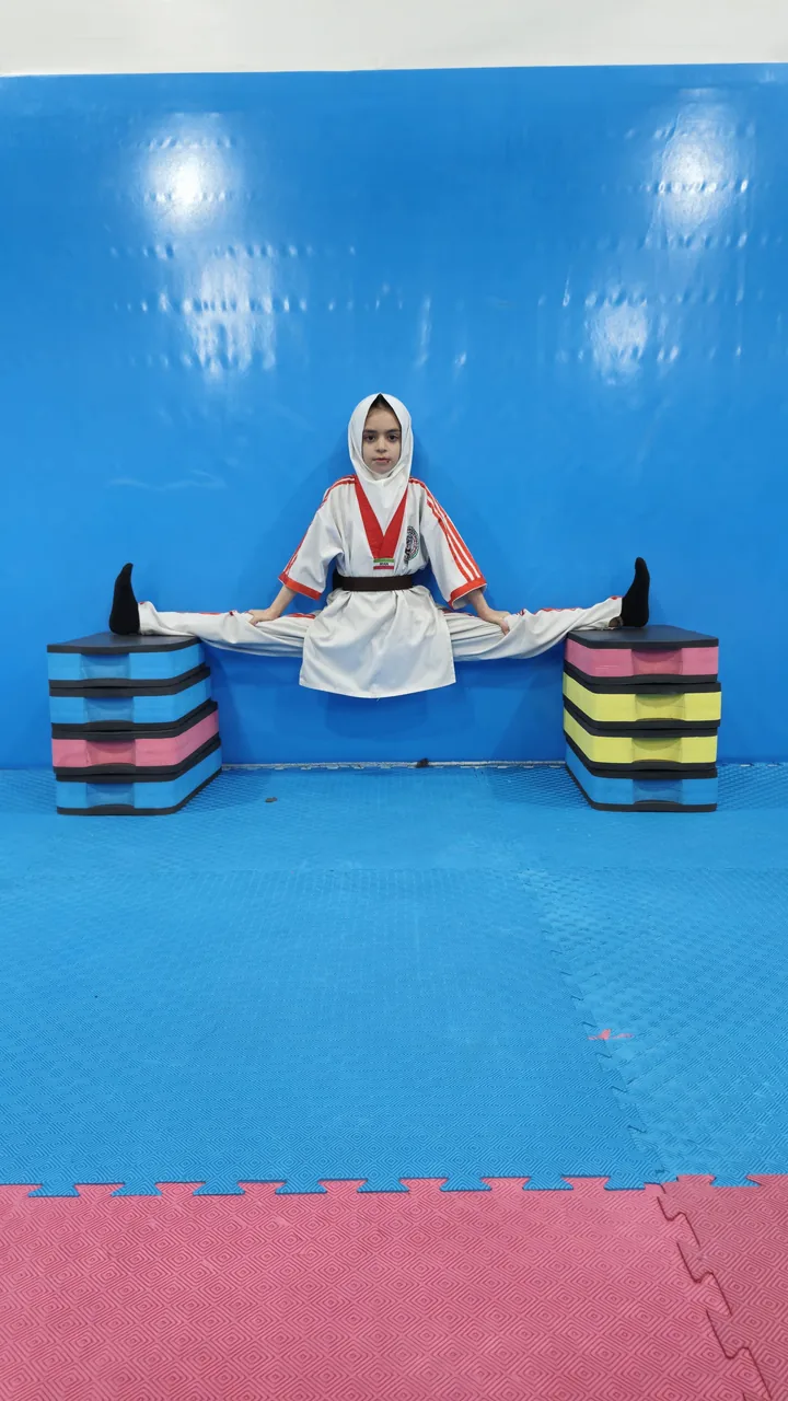آموزش دفاع شخصی استاد قربانیان - تصویر 2