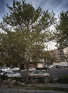 باشگاه بدنسازی آقایان