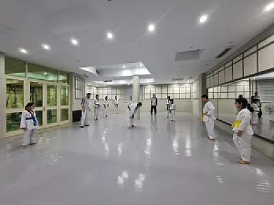 باشگاه رزمی تکواندو (استاد دانیال باوری)