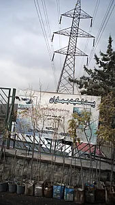 پیست اسکیت