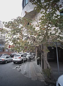 باشگاه اسکواش دیباجی