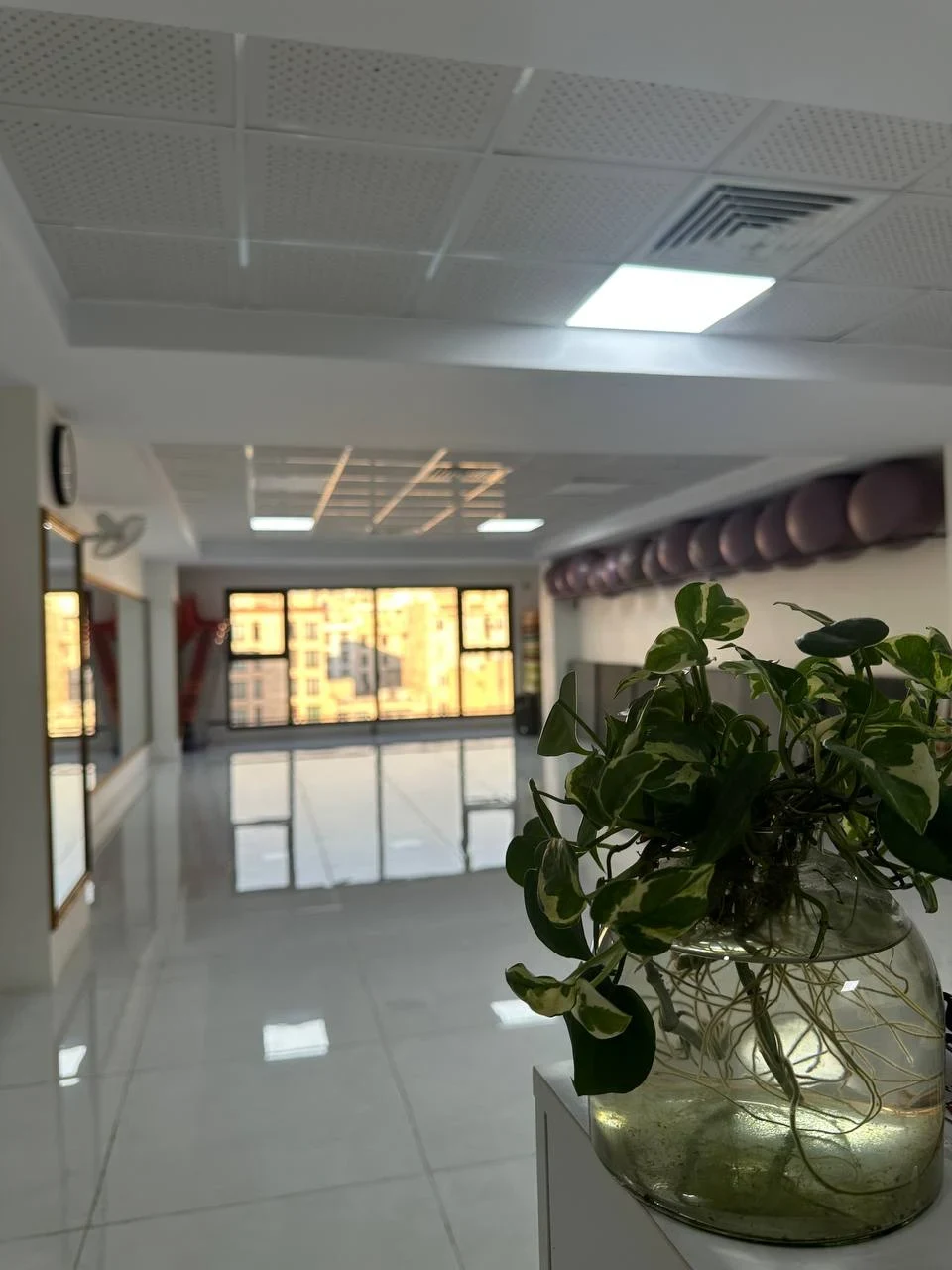 باشگاه تربیت - تصویر 2