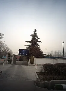 مجموعه تنیس