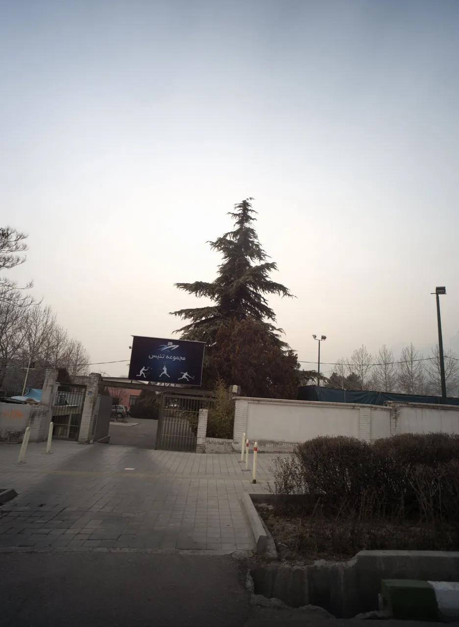 مجموعه تنیس
