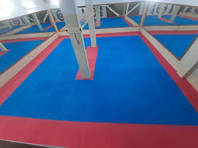 باشگاه رزمی کرمیان