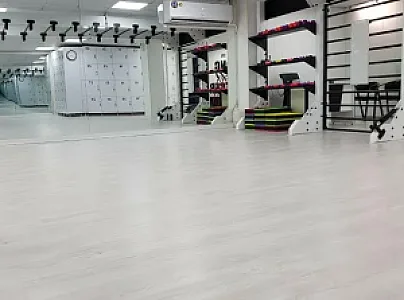 باشگاه آویر