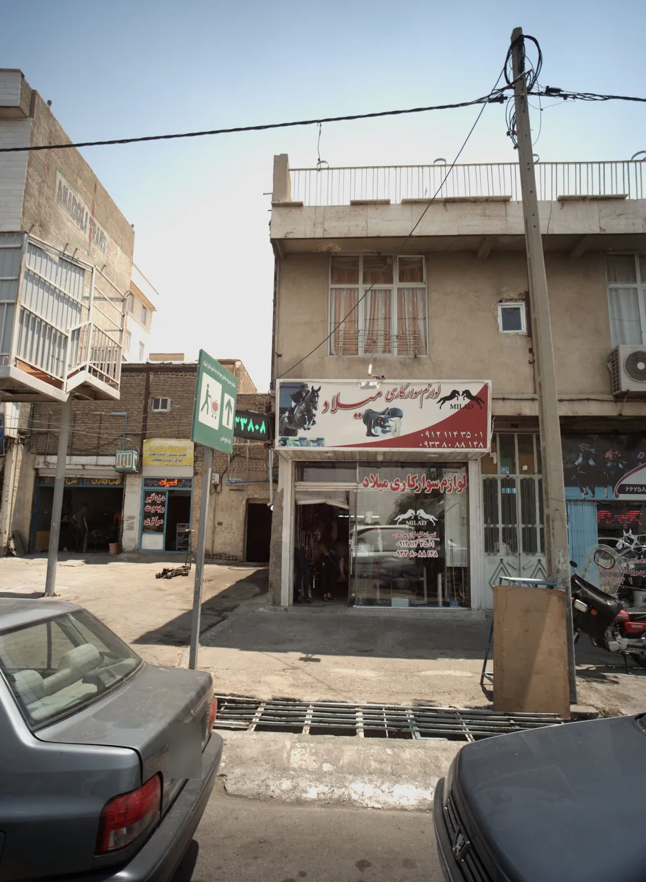 لوازم سوارکاری میلاد - تصویر 2