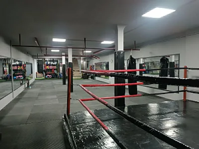 باشگاه رزمی ثمری