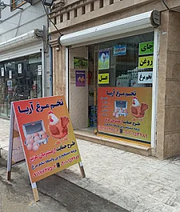 تخم مرغ فروشی آریا