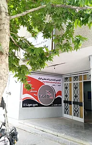 آکادمی تخصصی تندرستی لایگر