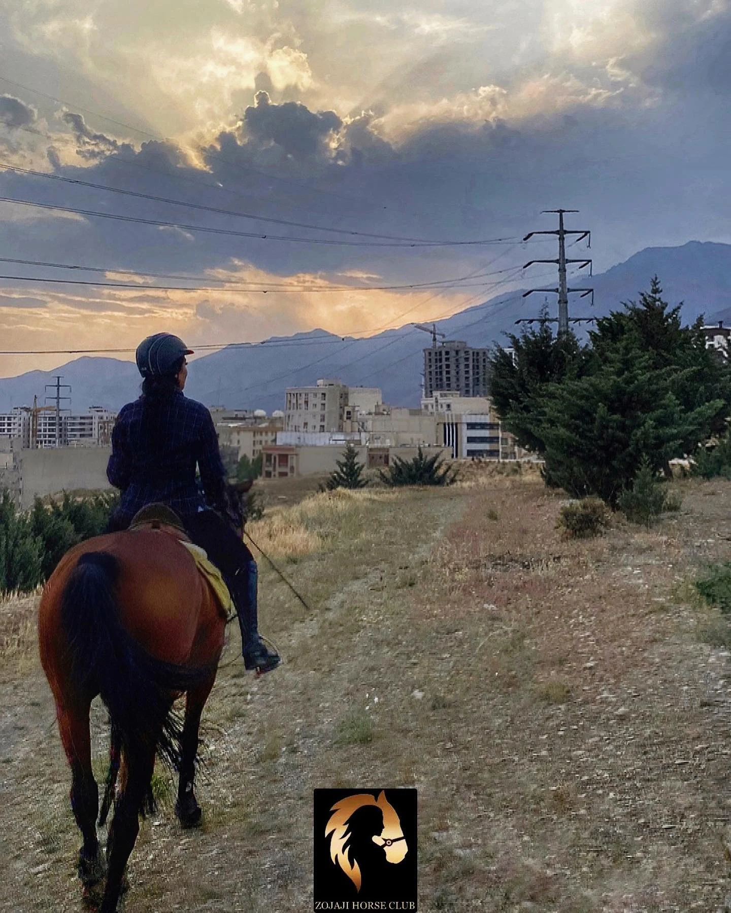 باشگاه سوارکاری زجاجی - تصویر 2
