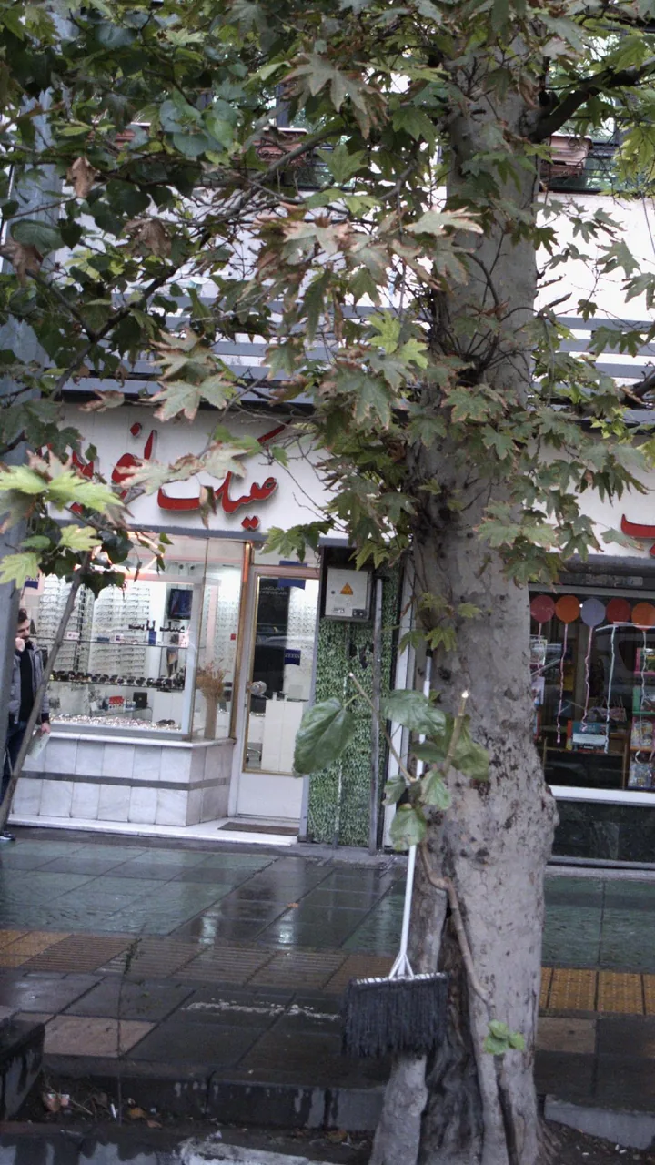 عینک نوین