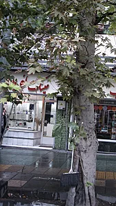 عینک نوین