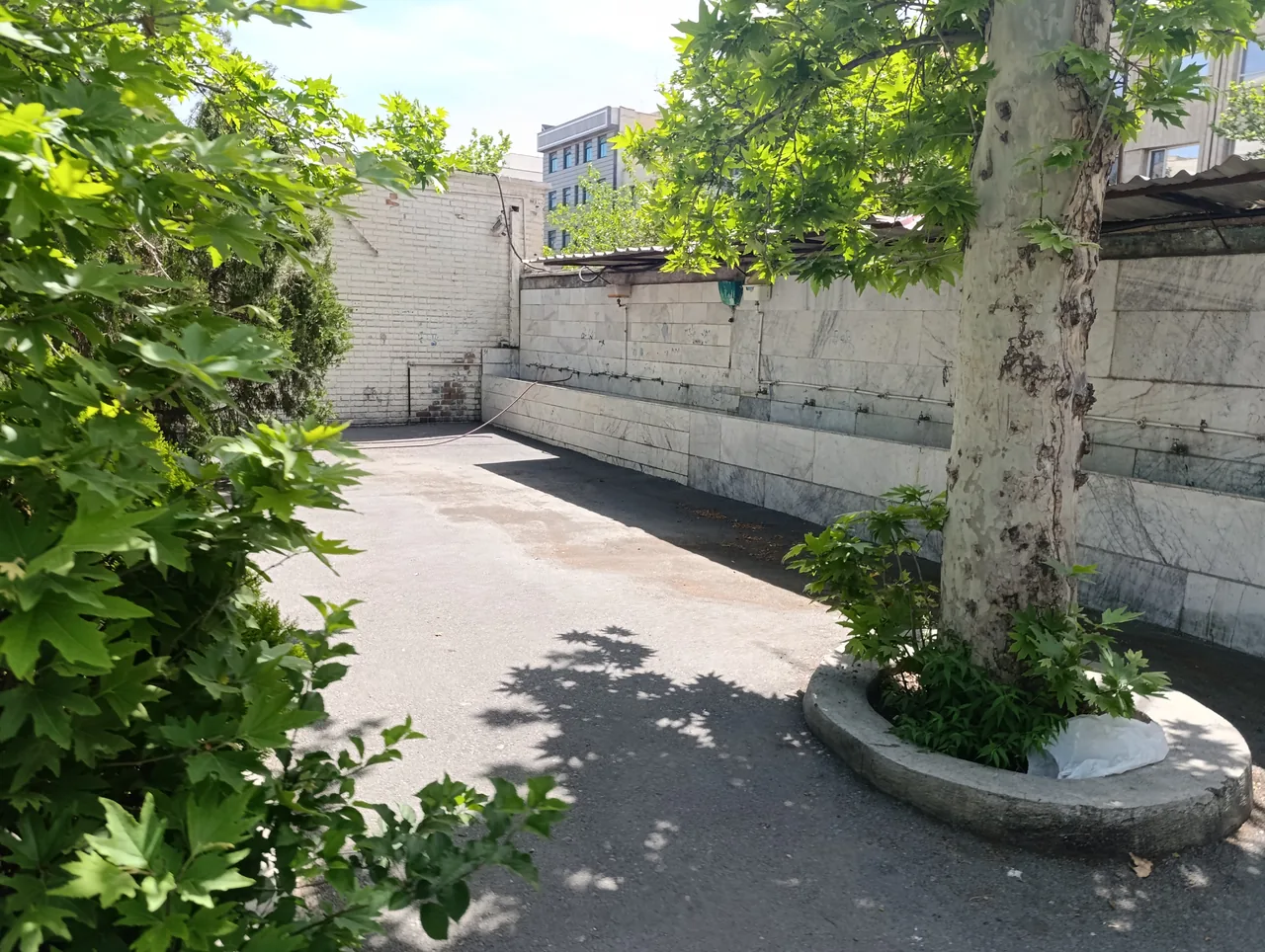 دبیرستان دخترانه علوی - تصویر 4
