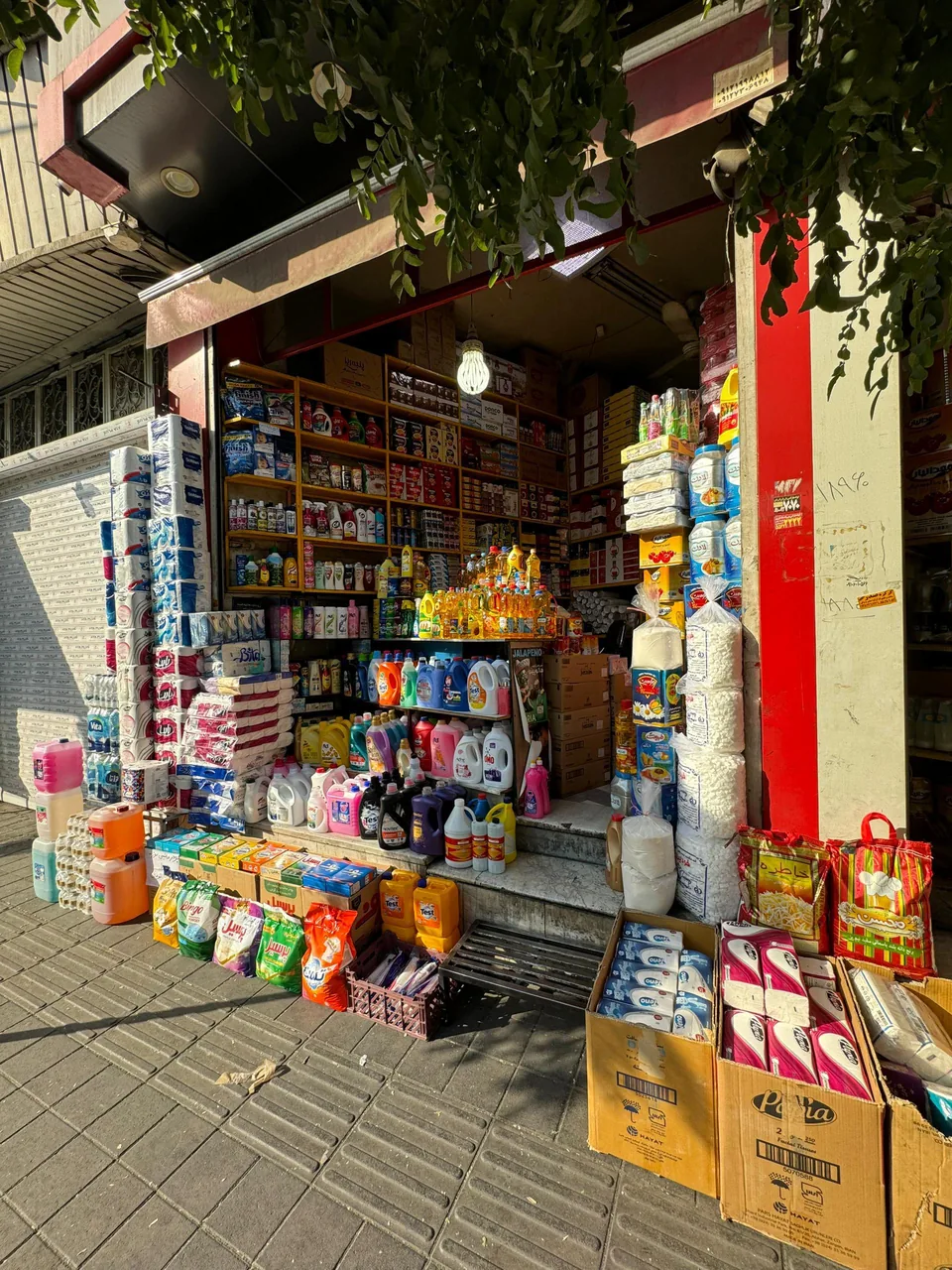 بنکداری داود فرج اللهی - تصویر 4