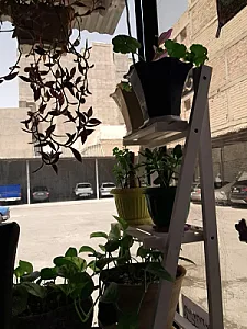 پارکینگ عمومی