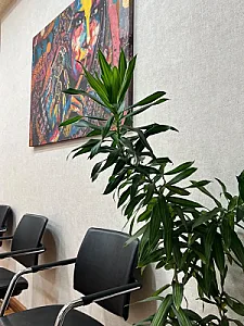 کلینیک زیبایی دکتر خلیل زاده