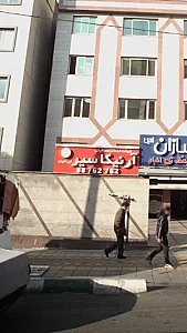 شرکت خدمات مسافرتی آرنیکا سیر ایرانیان