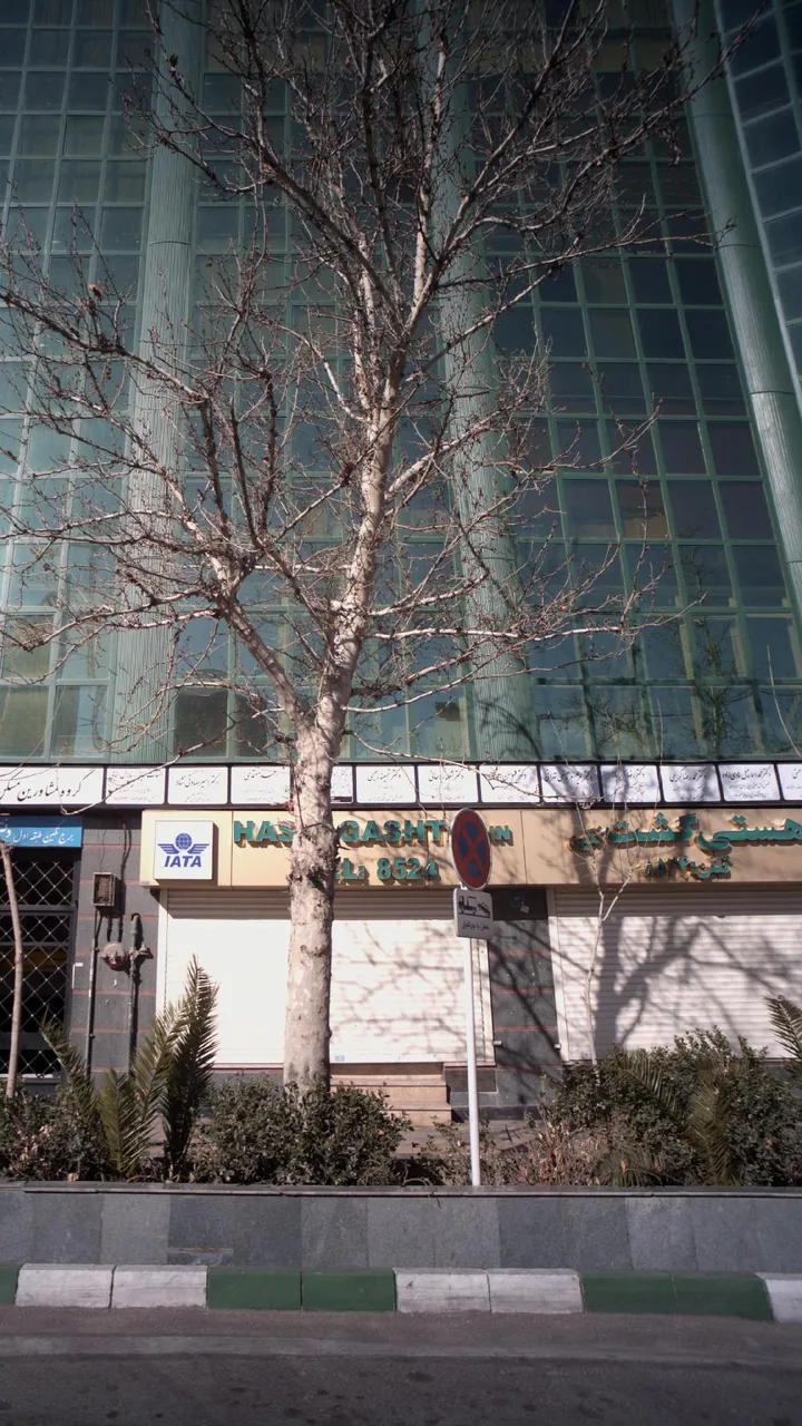 هستی گشت نگین - تصویر 2