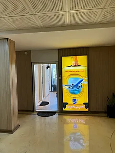 آفتاب درخشان دی