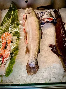 مرکز ماهی رهنما