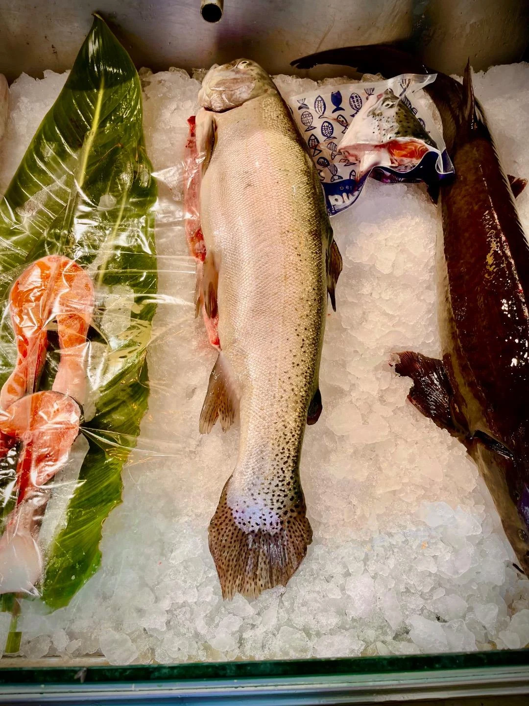 مرکز ماهی رهنما