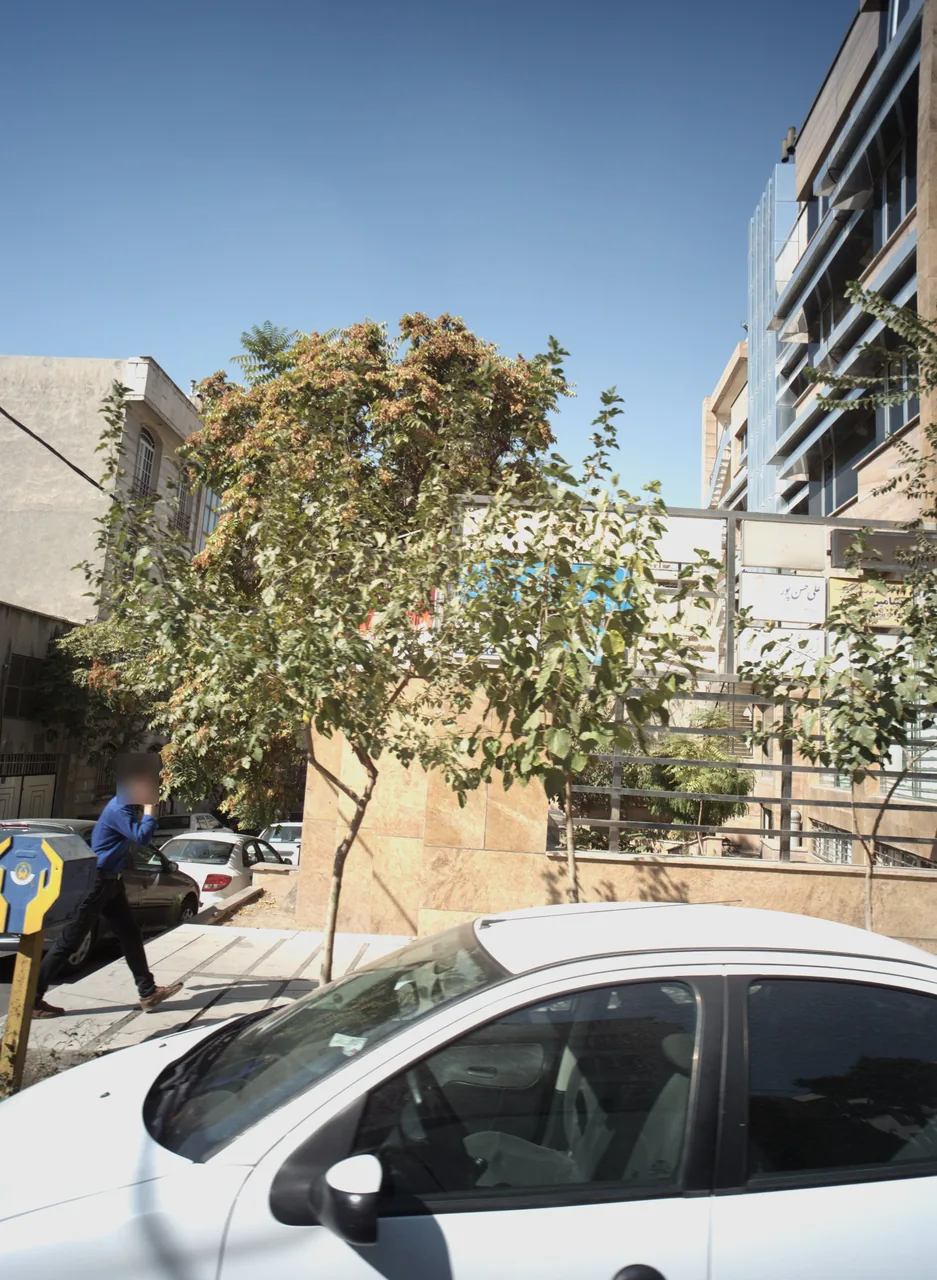 شرکت هواپیمایی بنیامین پرواز