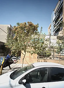 شرکت هواپیمایی بنیامین پرواز