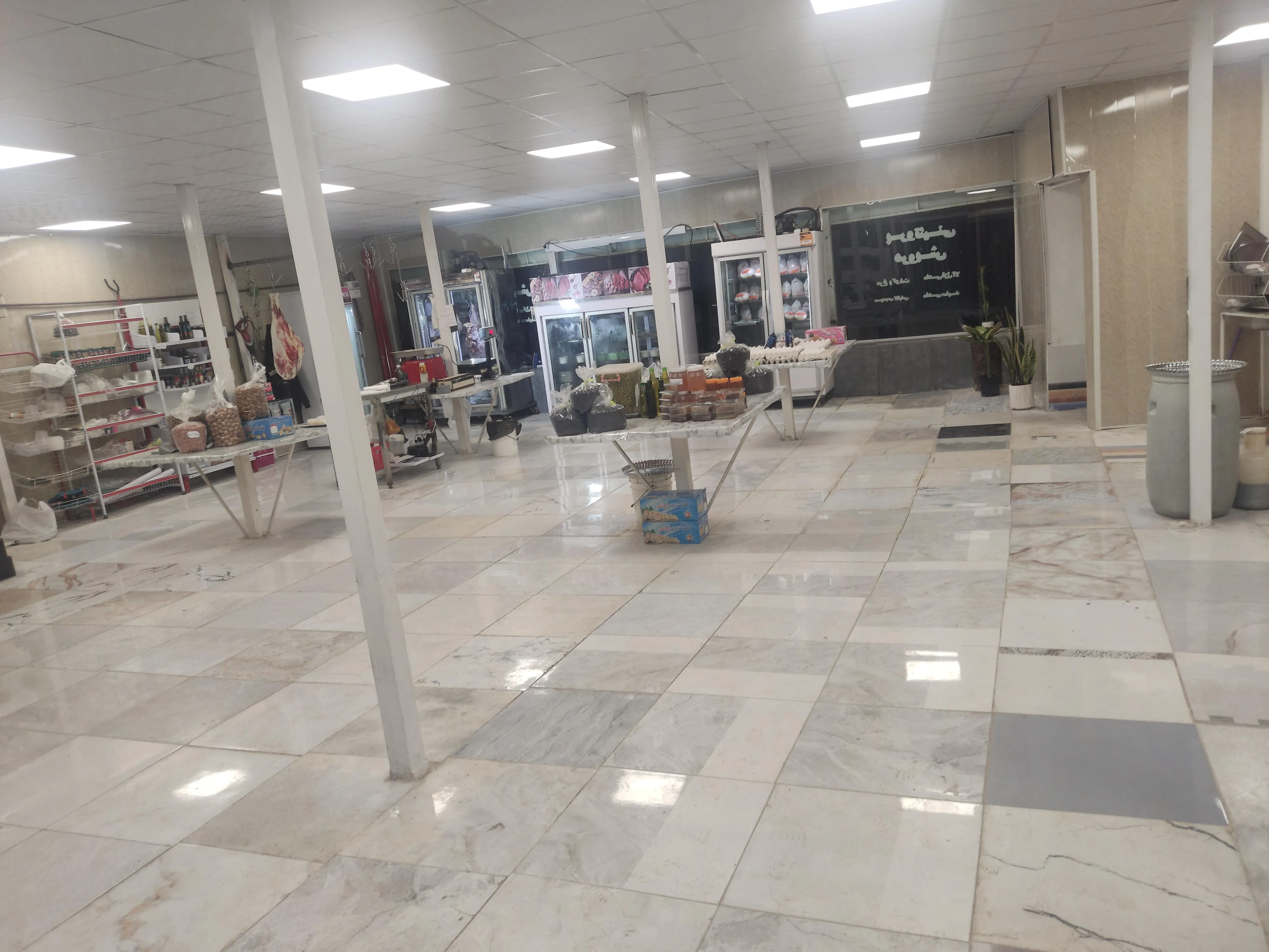پروتئینی درویش