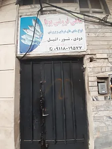 ماهی فروشی پویا