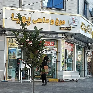 پروتئین مرغ و ماهی پویا