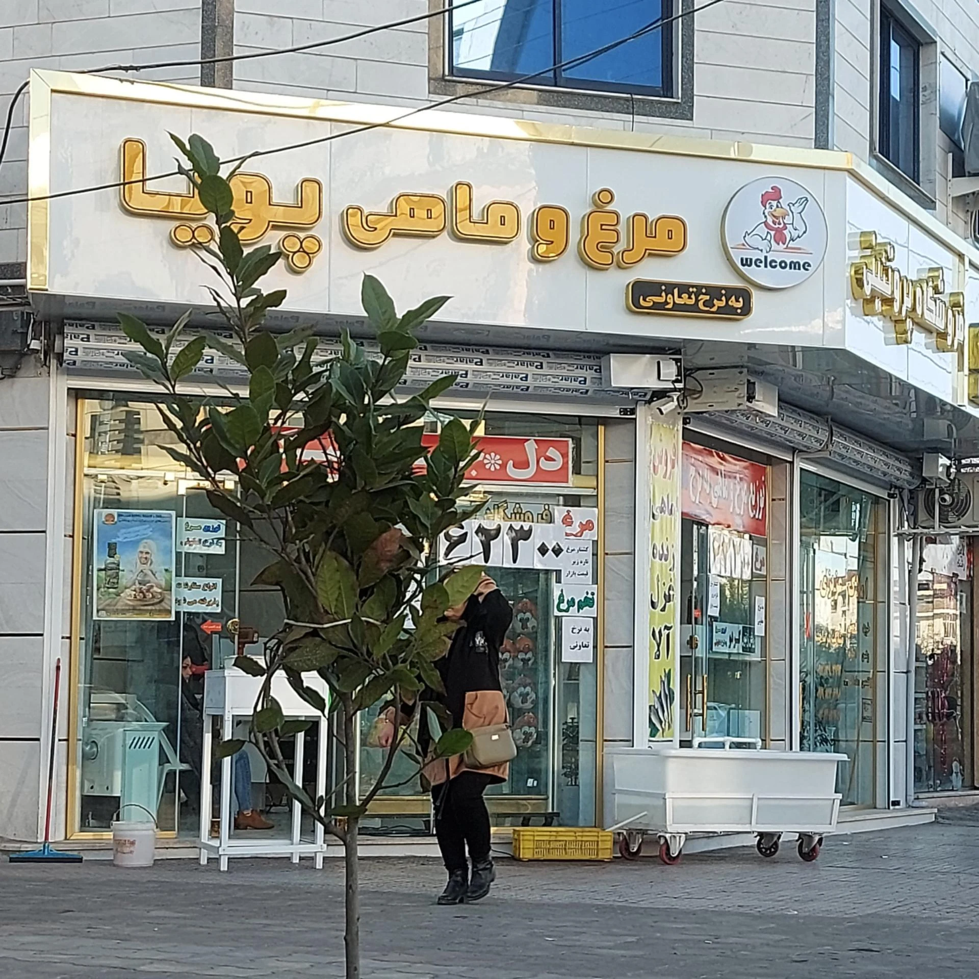 پروتئین مرغ و ماهی پویا