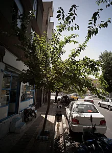 فتوکپی پرینت