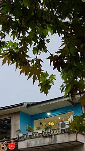 کافه 900