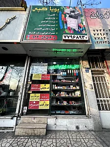 پویا کپی
