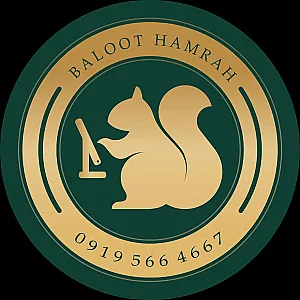 کافی نت بلوط