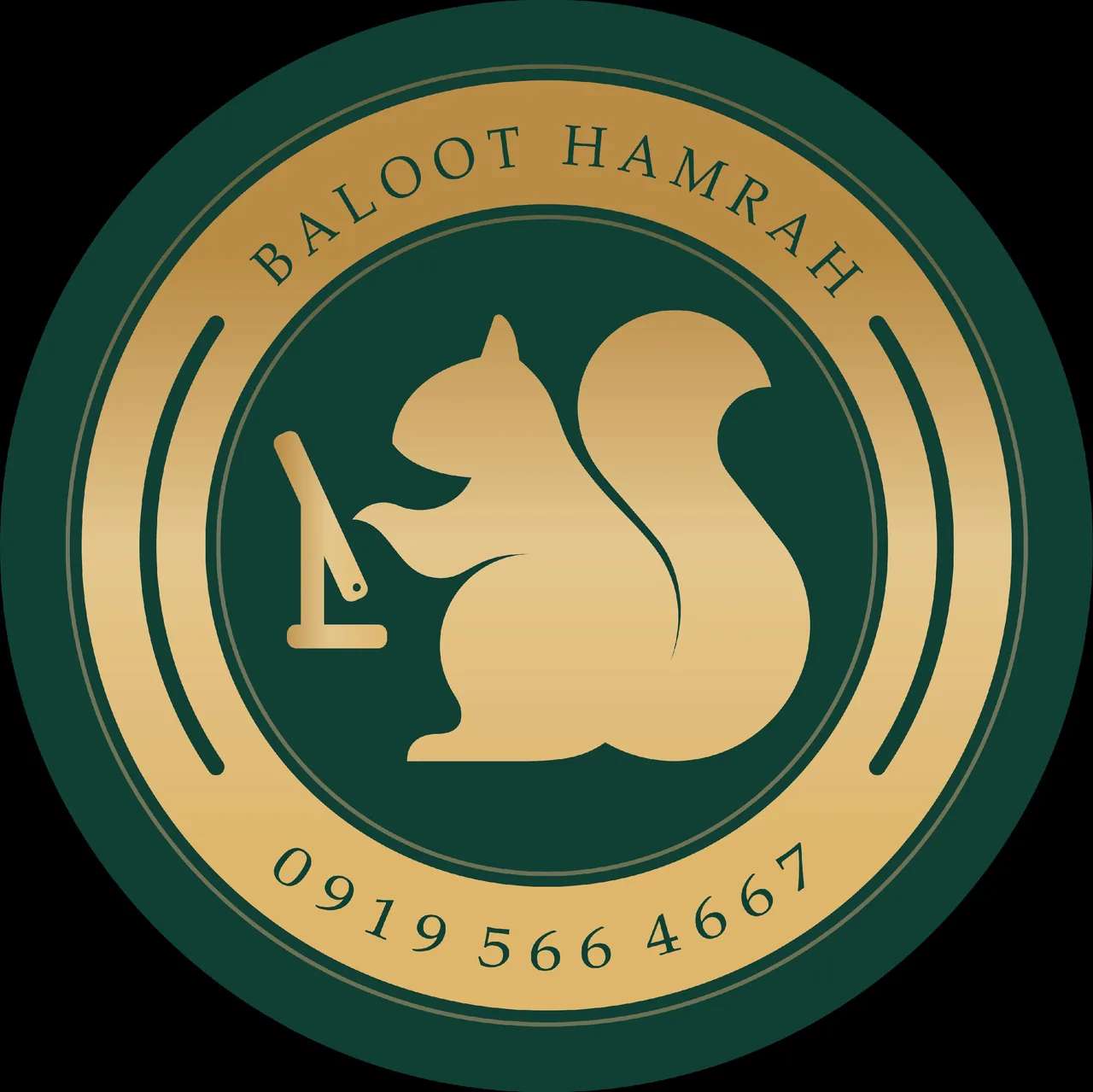 کافی نت بلوط