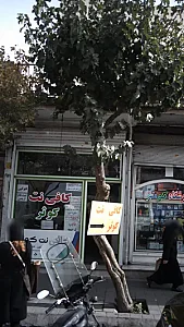 کافی نت کوثر