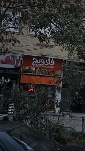 فلاویچ