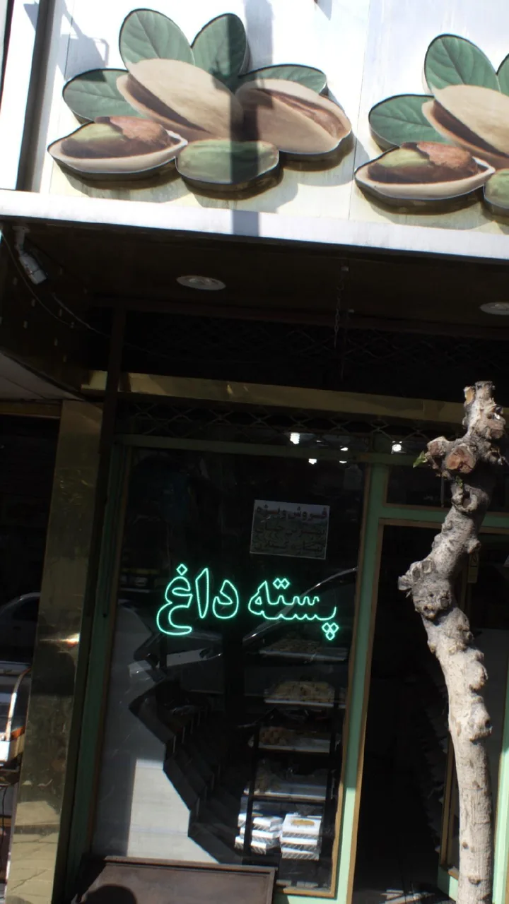 پسته داغ