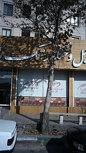اجیل وخشکبار تک بانو